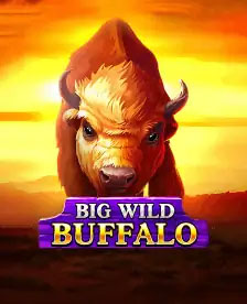 Big Wild Buffalo